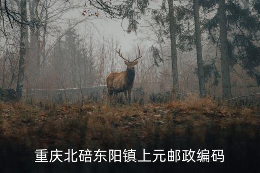 重慶市北碚區郵政編號是多少，重慶北碚東陽鎮上元郵政編碼