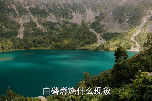  白磷燃燒什么現象