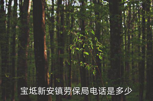 天津市寶坻區新安鎮政府網，天津市寶坻區新安鎮辦理社會保障卡的地點在哪里