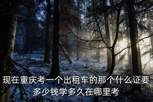 現在重慶考一個出租車的那個什么證要多少錢學多久在哪里考