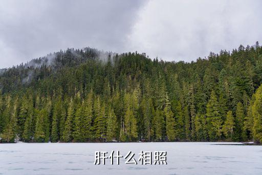 肝膽相照造句,cppcc工作原則:長期共存，互相監督