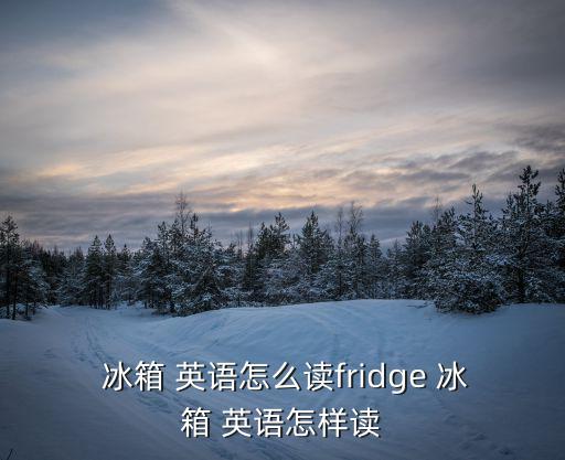  冰箱 英語怎么讀fridge 冰箱 英語怎樣讀
