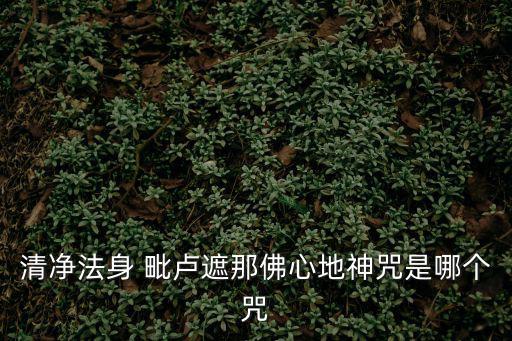 毗盧遮那佛咒,天臺(tái)宗以毗盧蓋娜為法身融合魯舍那、釋迦牟尼