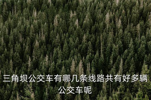 重慶市三角壩路，重慶興隆鎮三角壩的條件怎樣