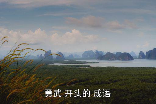 武字開頭的成語,文武玩弄官員玩忽職守帶武字成語