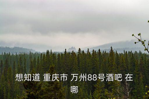 想知道 重慶市 萬州88號酒吧 在哪