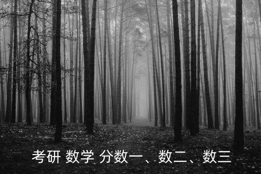  考研 數學 分數一、數二、數三