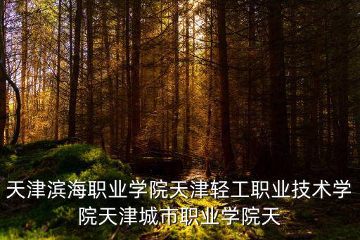 天津濱海職業學院天津輕工職業技術學院天津城市職業學院天