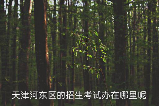 天津河?xùn)|區(qū)的招生考試辦在哪里呢
