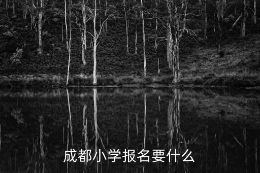 成都小學報名要什么