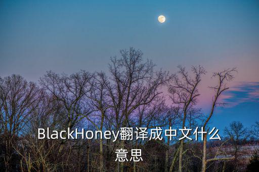 BlackHoney翻譯成中文什么意思
