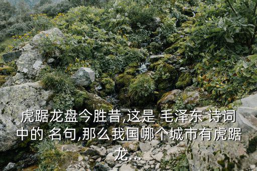 毛澤東詩詞名句,毛澤東de詩詞麗湖居龍蟠寫南京