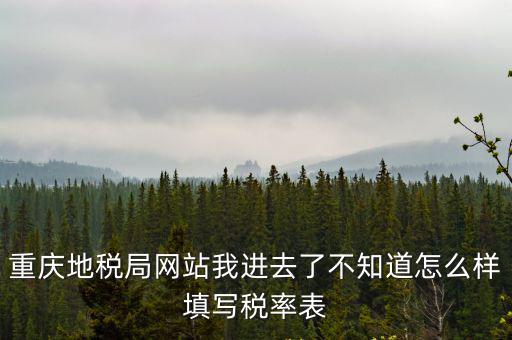 重慶地稅局網站我進去了不知道怎么樣填寫稅率表