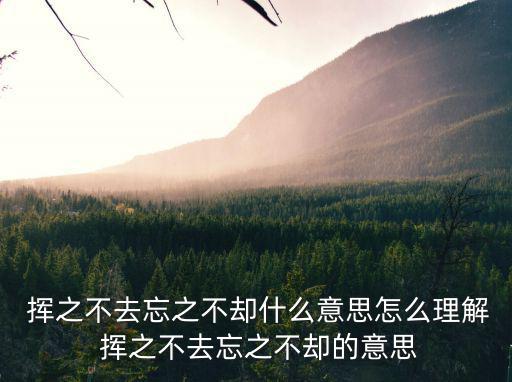  揮之不去忘之不卻什么意思怎么理解 揮之不去忘之不卻的意思