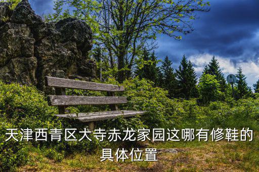 天津西青區大寺赤龍家園這哪有修鞋的具體位置