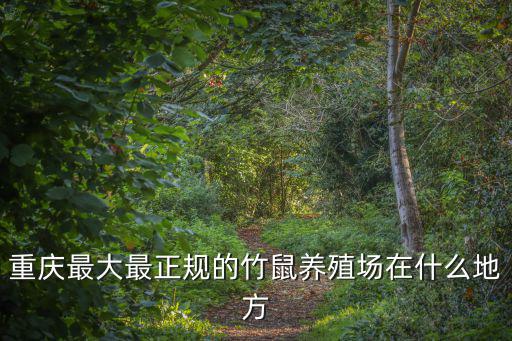 重慶市江津區(qū)云興鎮(zhèn)，重慶最大最正規(guī)的竹鼠養(yǎng)殖場在什么地方