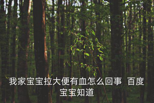 小孩大便帶血是什么原因，我家寶寶拉大便有血怎么回事  百度寶寶知道