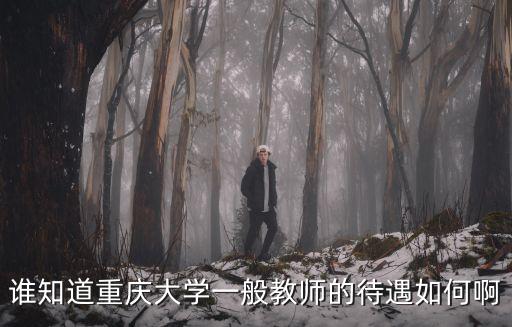 誰知道重慶大學一般教師的待遇如何啊