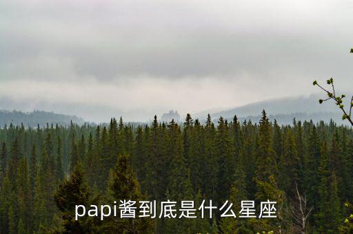papi醬到底是什么星座