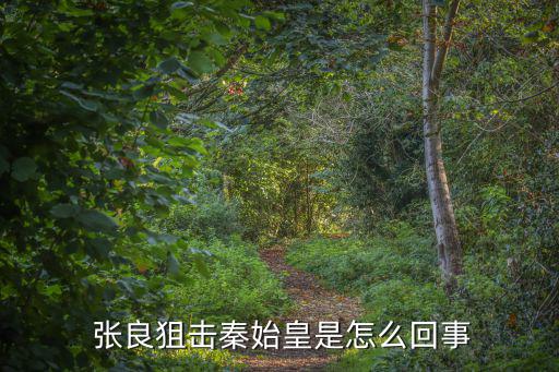  張良狙擊秦始皇是怎么回事
