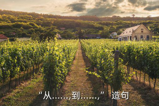 “從……,到……,” 造句
