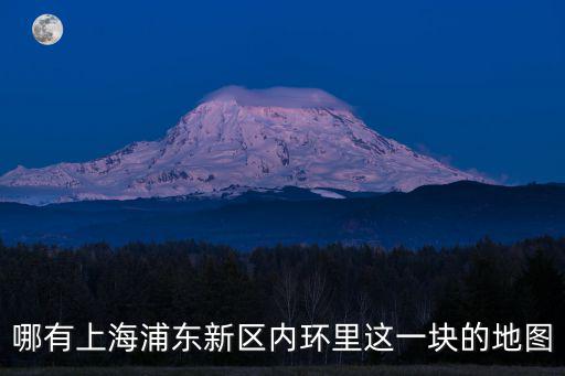 哪有上海浦東新區內環里這一塊的地圖