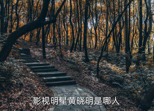 影視明星黃曉明是哪人