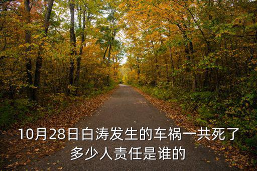 10月28日白濤發(fā)生的車禍一共死了多少人責(zé)任是誰的