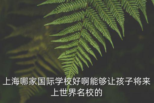 上海哪家國(guó)際學(xué)校好啊能夠讓孩子將來(lái)上世界名校的