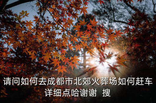 請問如何去成都市北郊火葬場如何趕車詳細點哈謝謝  搜
