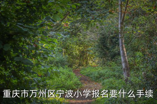 重慶市小學(xué)入學(xué)程序，重慶市萬州區(qū)寧波小學(xué)報(bào)名要什么手續(xù)