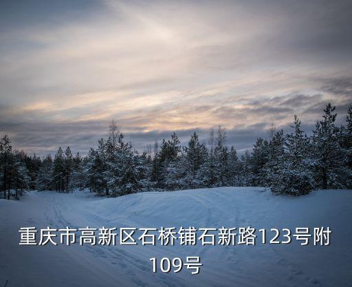 重慶市氫能產業園，重慶市高新區石橋鋪石新路123號附109號