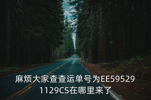 麻煩大家查查運單號為EE595291129CS在哪里來了