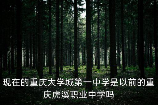 現在的重慶大學城第一中學是以前的重慶虎溪職業中學嗎