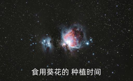 食用葵花的 種植時(shí)間