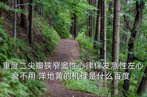 洋地黃禁忌癥,有條件時可抽血檢測洋地黃藥劑