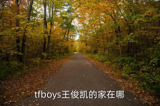 tfboys王俊凱的家在哪