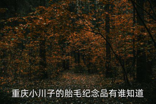 重慶小川子的胎毛紀念品有誰知道