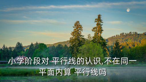 小學階段對 平行線的認識,不在同一平面內算 平行線嗎