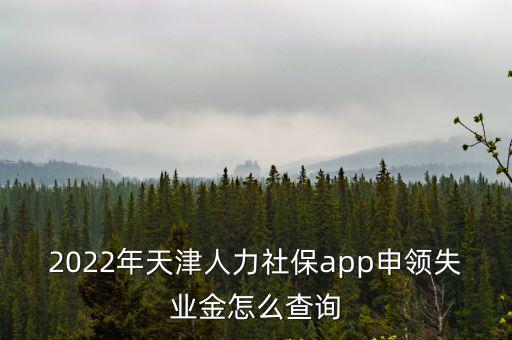 2022年天津人力社保app申領失業(yè)金怎么查詢