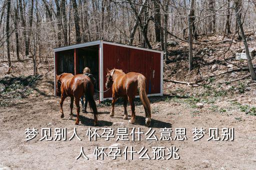  夢見別人 懷孕是什么意思 夢見別人 懷孕什么預兆
