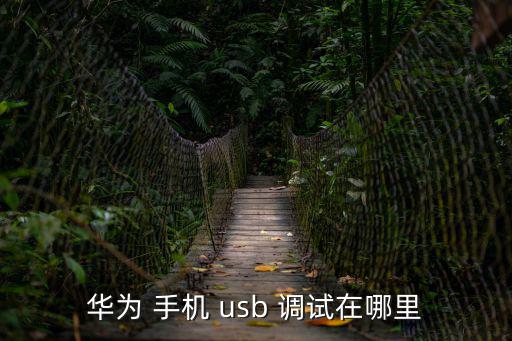 華為 手機 usb 調試在哪里