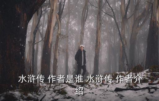 水滸傳作者簡介,《水滸傳》出版以來頗受好評