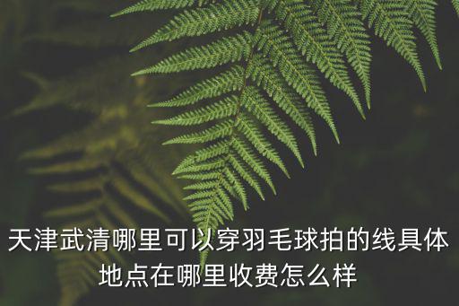 天津武清哪里可以穿羽毛球拍的線具體地點在哪里收費怎么樣