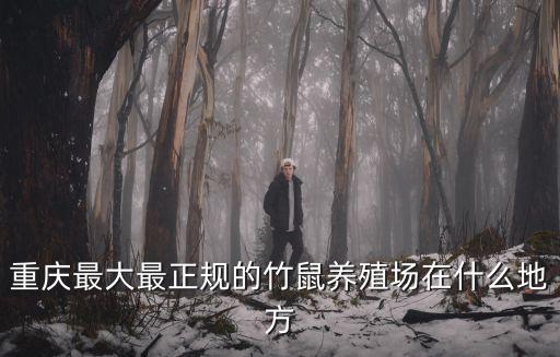 重慶最大最正規的竹鼠養殖場在什么地方