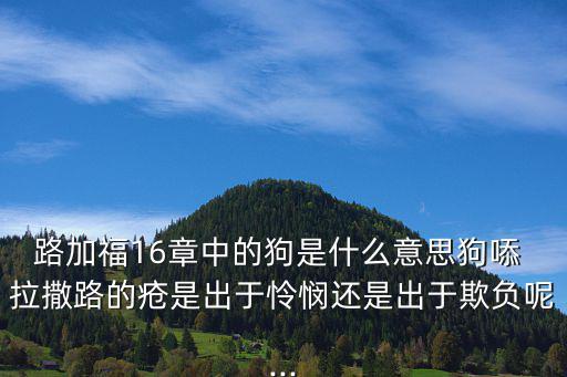 路加福16章中的狗是什么意思狗? 拉撒路的瘡是出于憐憫還是出于欺負(fù)呢...