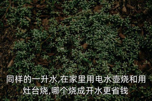 同樣的一升水,在家里用電水壺燒和用灶臺燒,哪個燒成開水更省錢