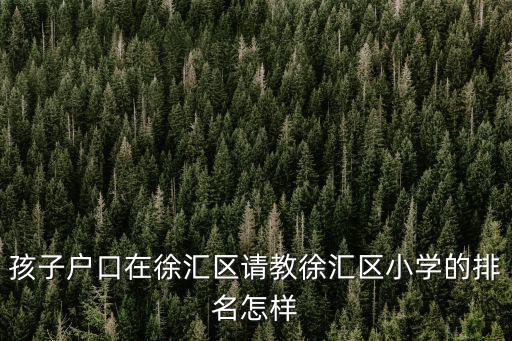 孩子戶口在徐匯區請教徐匯區小學的排名怎樣