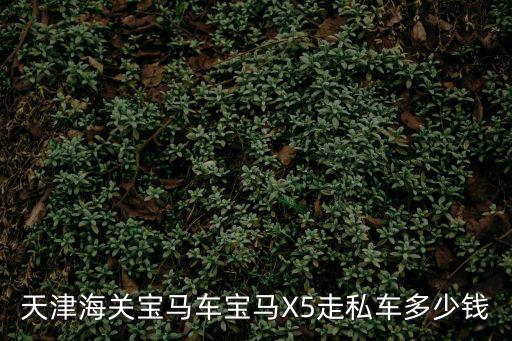天津市二手車寶馬x5價格，寶馬X5多少錢二手的