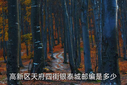 高新區天府四街銀泰城郵編是多少